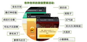 云亞爆炸式微信營銷軟件 型號、功能與購買指南