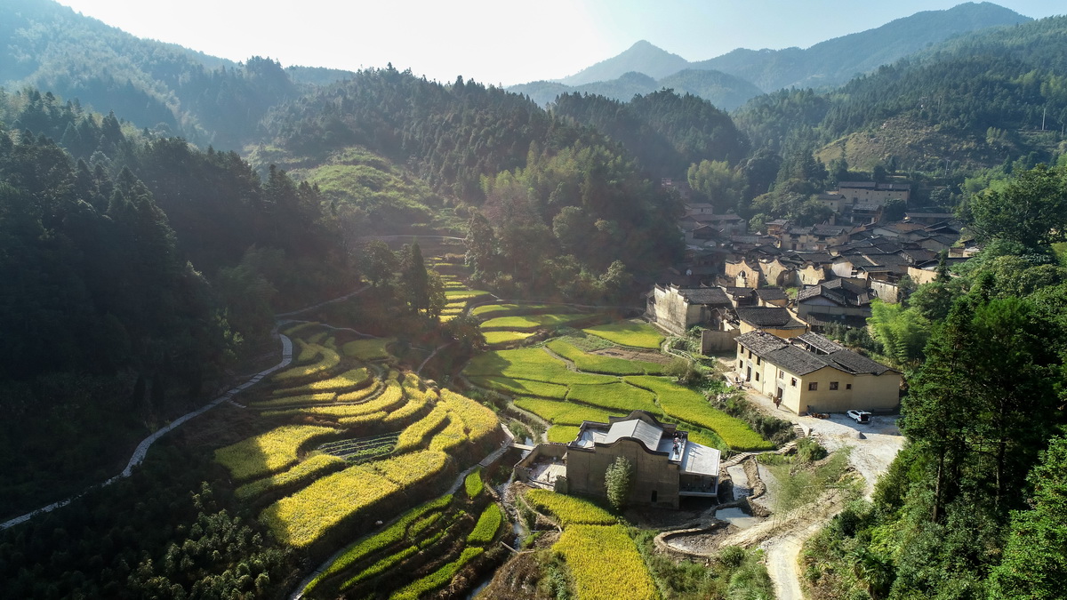 调整大小 02 鸟瞰 .卓育兴 Aerial view .ZHUO Yuxing.jpg